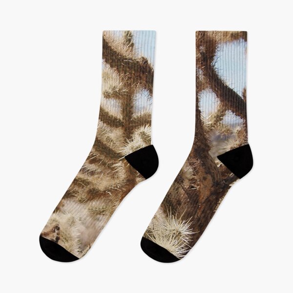 Item preview, Cholla Cactus, Lancaster, California designed and sold by Douglas E. Welch Design and Photography.