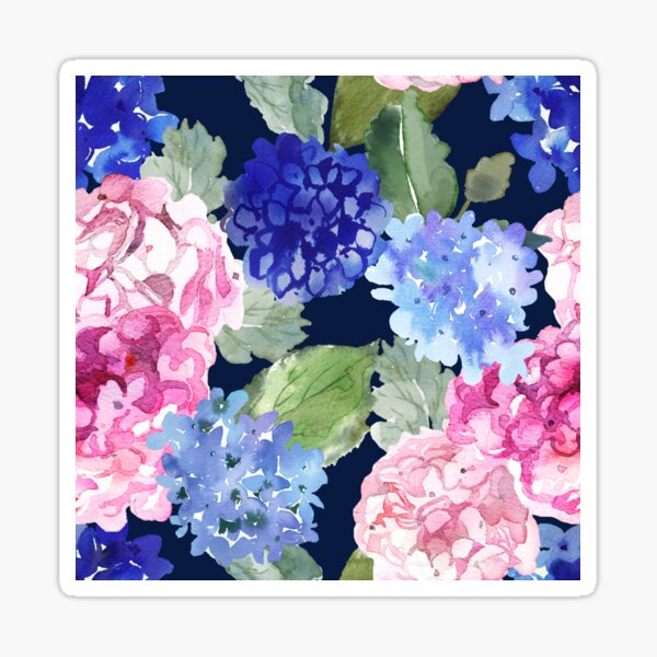 Watercolor Hydrangea floral in pink and blue on navy background Sticker