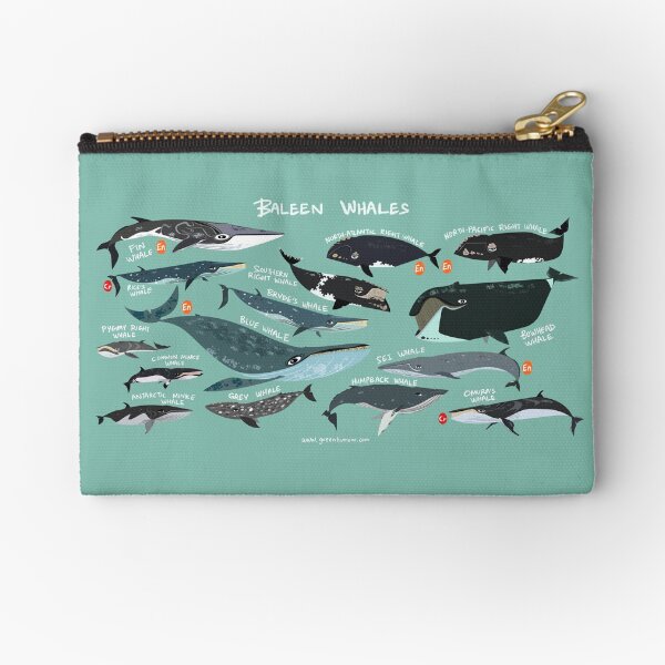 "Baleen Whales" Zipper Pouch for Sale by rohanchak Redbubble