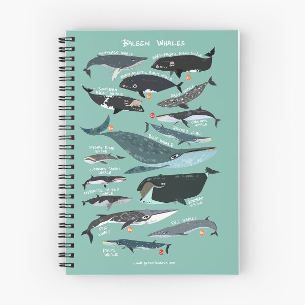 Item preview, Baleen Whales designed and sold by Green Humour.