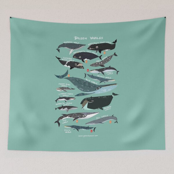 Item preview, Baleen Whales designed and sold by Green Humour.