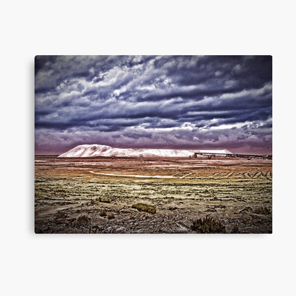 Canvas Print
