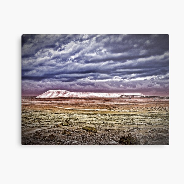 Metal Print