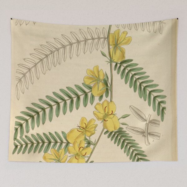 Item preview, Curtis's botanical magazine (Plate 3435) (8616608776) designed and sold by EsotericBotanic.