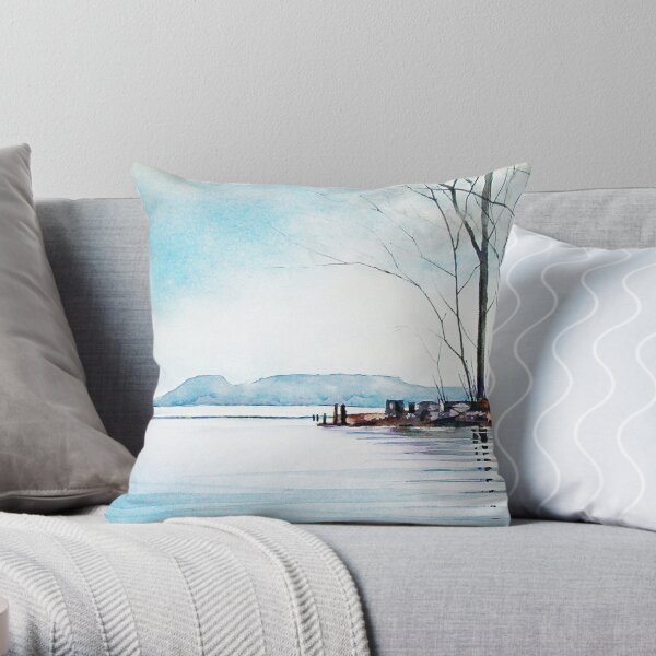 https://ih1.redbubble.net/image.2144093720.6124/throwpillow,small,600x-bg,f8f8f8-c,0,120,600,600.u1.jpg