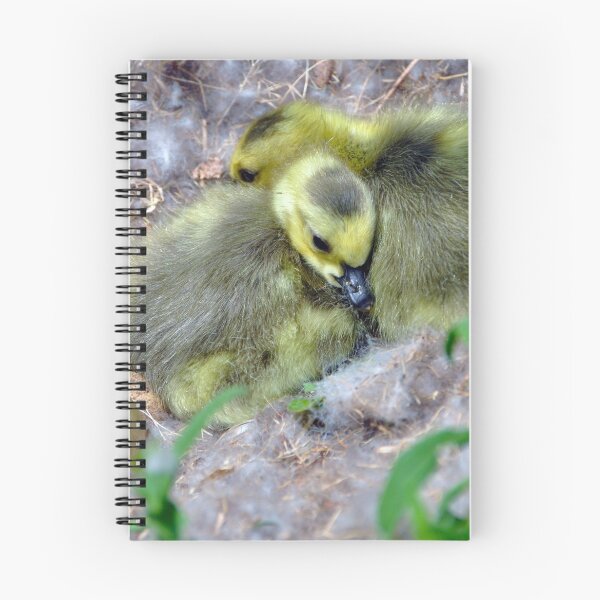 Item preview, Baby geese designed and sold by kimberpix.
