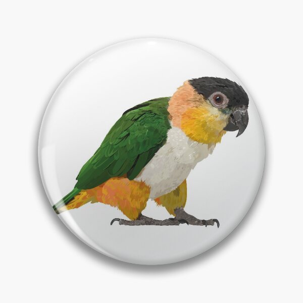 Item preview,  black headed caique designed and sold by obscurite.