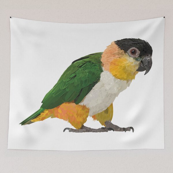 Item preview,  black headed caique designed and sold by obscurite.