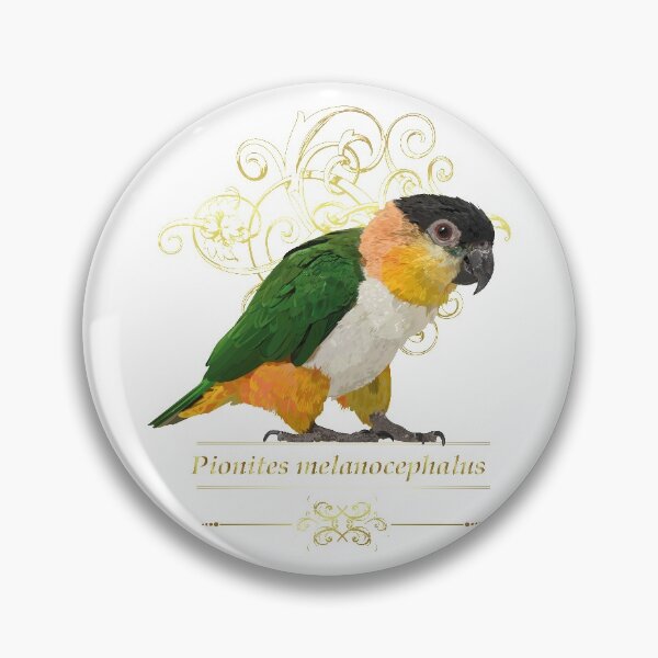Item preview, black headed caique designed and sold by obscurite.