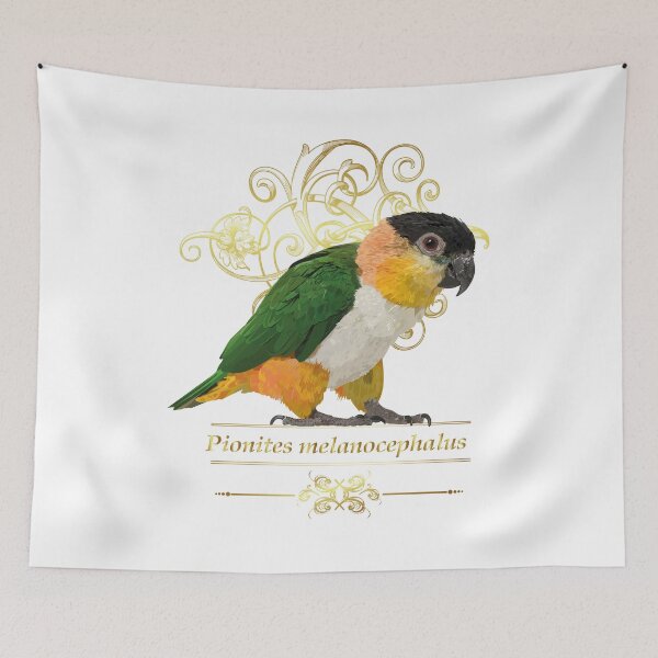 Item preview, black headed caique designed and sold by obscurite.