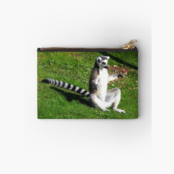 Item preview, Sunbathing Lemur designed and sold by Barnbk02.