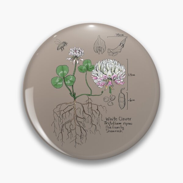 Artikelvorschau, Weißklee Botanical - hellbraun entworfen und verkauft von mernstw.