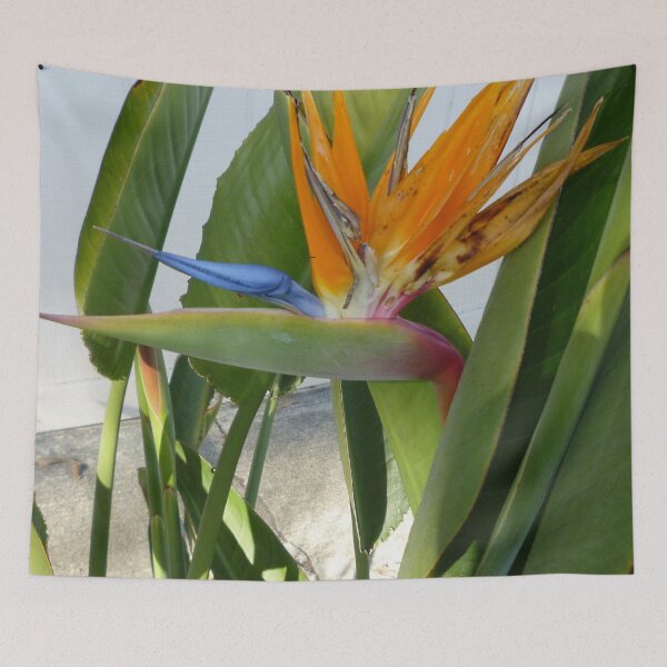 Item preview, 71510133 designed and sold by RealFlower.