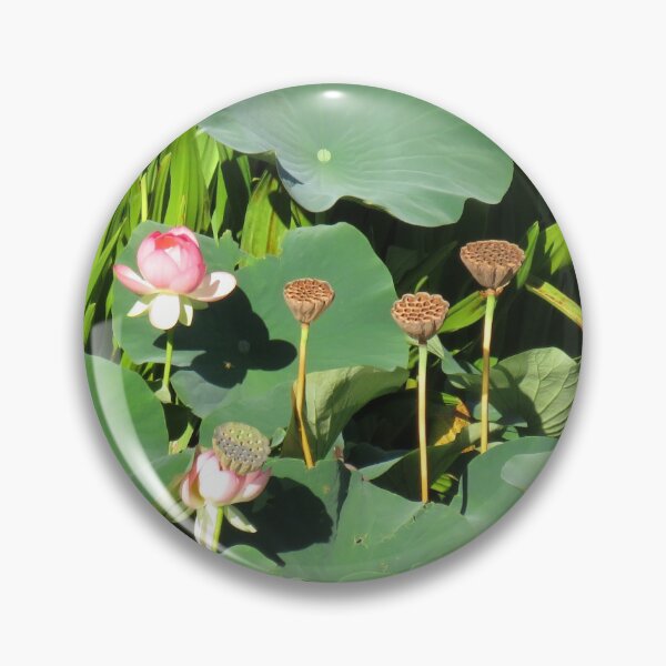 Item preview, Water lilies designed and sold by greentiger1.