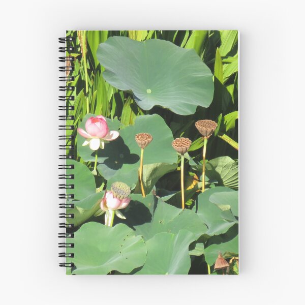 Item preview, Water lilies designed and sold by greentiger1.