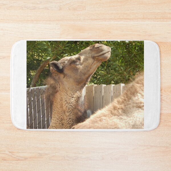 Item preview, Camel 003 designed and sold by pasta26mc.