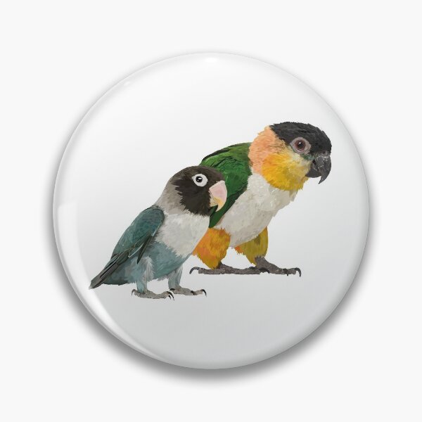 Item preview, Caique and Agapornis designed and sold by obscurite.