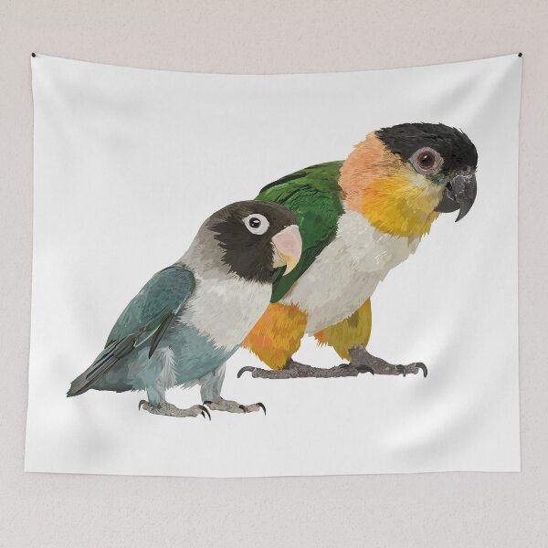 Item preview, Caique and Agapornis designed and sold by obscurite.