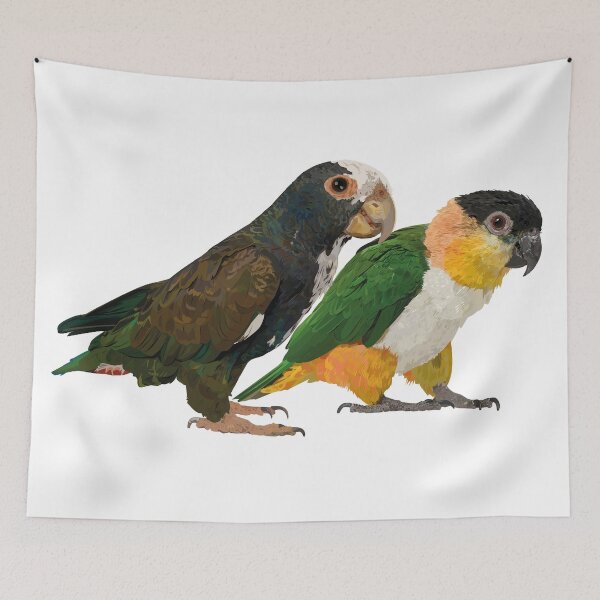 Item preview, Caique and parrot designed and sold by obscurite.