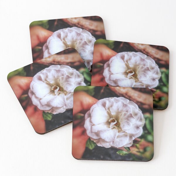 Item preview, blooming white flowers - summer flowers designed and sold by PCpallavi.
