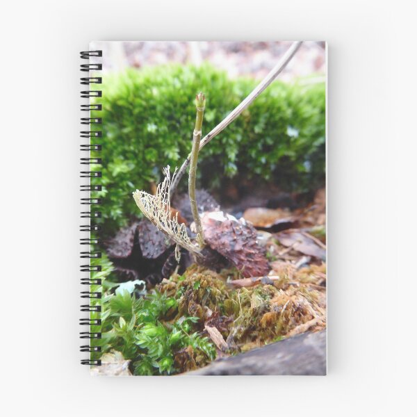 Item preview, Hidden life designed and sold by Ravenvalley.