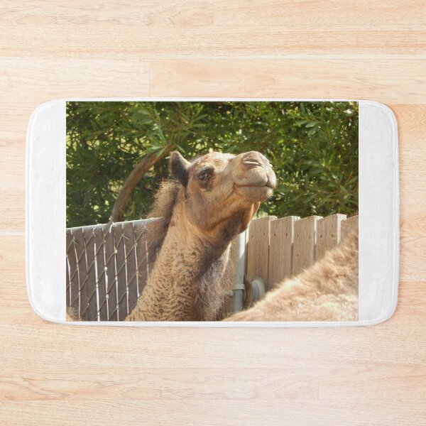Item preview, Camel 004 designed and sold by pasta26mc.