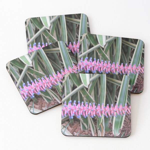 Item preview, Matchstick bromeliad designed and sold by greentiger1.