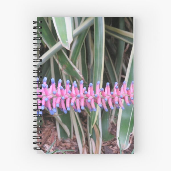 Item preview, Matchstick bromeliad designed and sold by greentiger1.