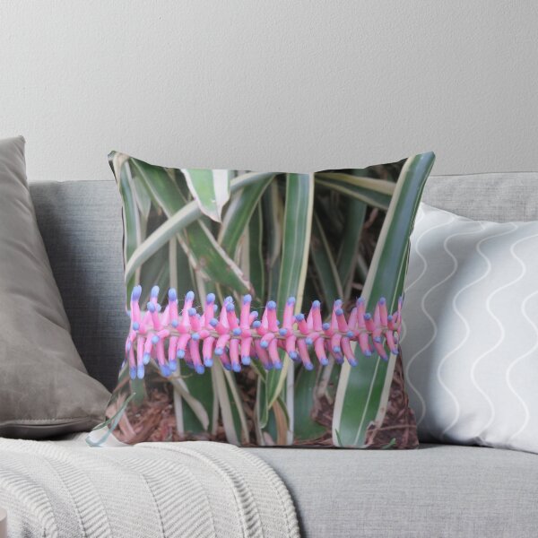 Item preview, Matchstick bromeliad designed and sold by greentiger1.