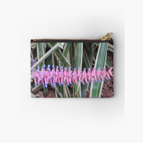 Item preview, Matchstick bromeliad designed and sold by greentiger1.