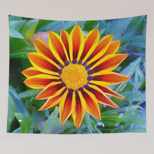 Item preview, 71516037 designed and sold by RealFlower.