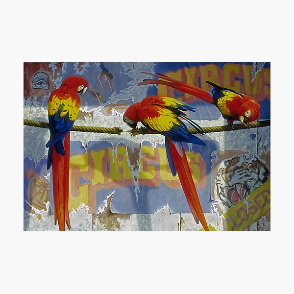 Circus Photographic Print