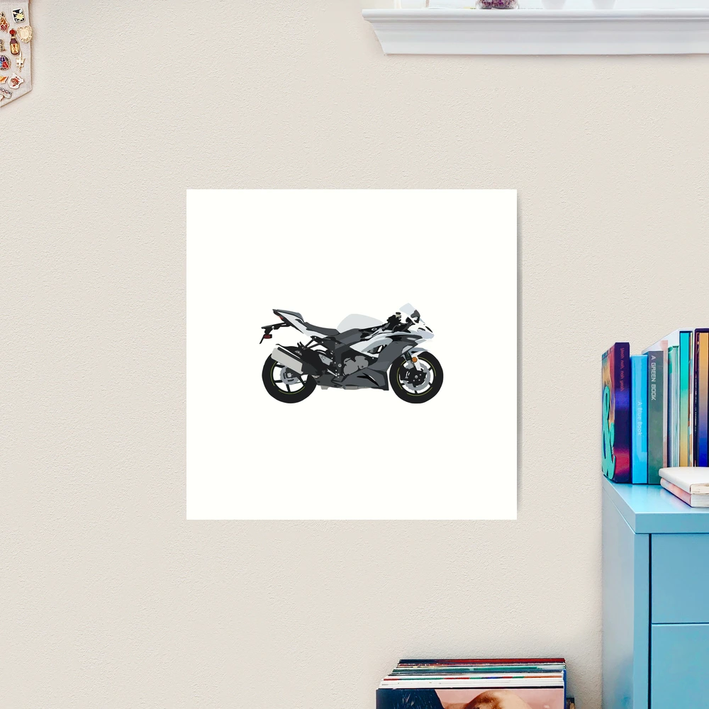 アート作品 Amotopart 2024 Kawasaki ZX6R グレー フェアリングキット