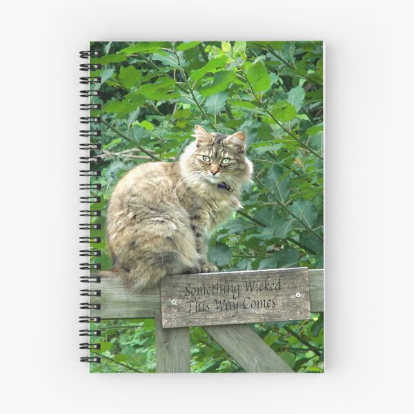 Item preview, Cat on a Gate designed and sold by Alisonchambers2.