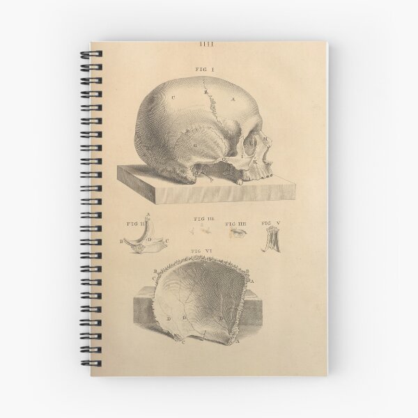 Item preview, Vintage human skull illustration designed and sold by Humanicorporis.
