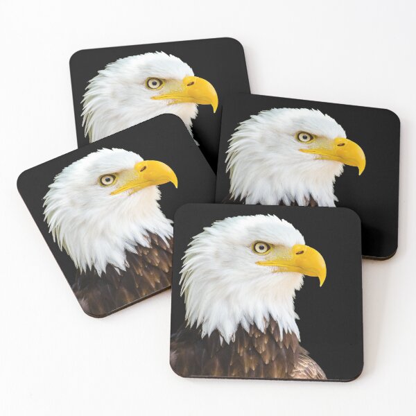 Item preview, Eagle Sticker / Eagle hunting / Falcon / Birds life Sticker designed and sold by lukas754.