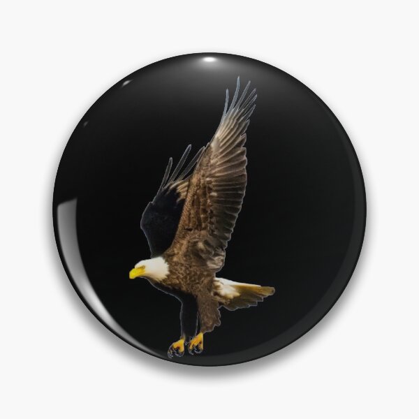 Item preview, Eagle Sticker / Eagle hunting / Falcon / Birds life Sticker designed and sold by lukas754.