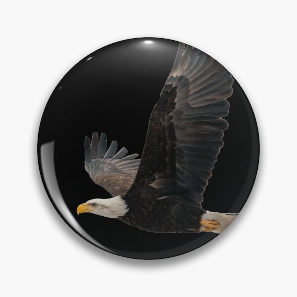 Item preview, Eagle Sticker / Eagle hunting / Falcon / Birds life Sticker designed and sold by lukas754.