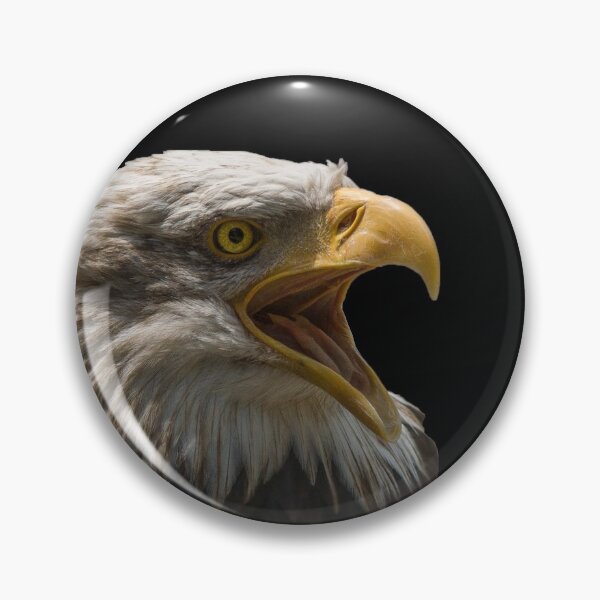 Item preview, Eagle Sticker / Eagle hunting / Falcon / Birds life Sticker designed and sold by lukas754.