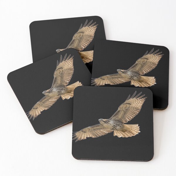 Item preview, Eagle Sticker / Eagle hunting / Falcon / Birds life Sticker designed and sold by lukas754.