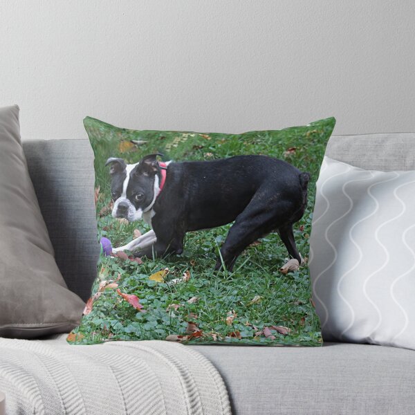 Item preview, A dog and his ball designed and sold by Linda Crockett.