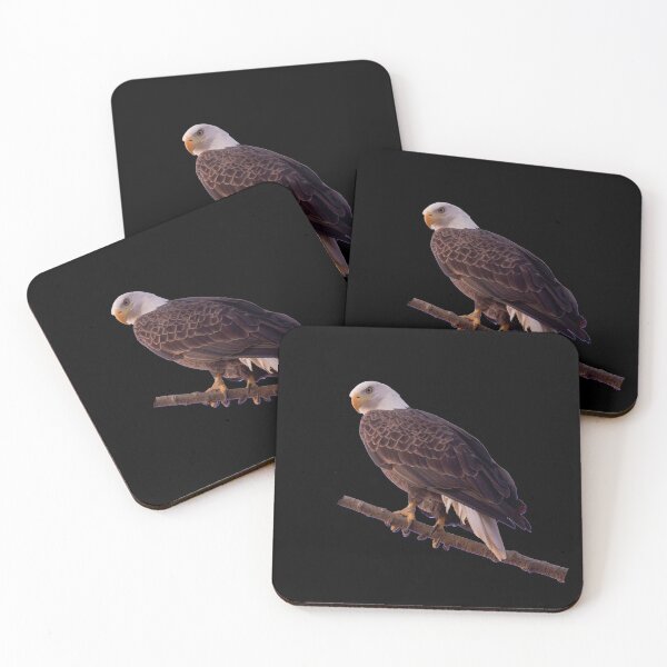 Item preview, Eagle Sticker / Eagle hunting / Falcon / Birds life Sticker designed and sold by lukas754.