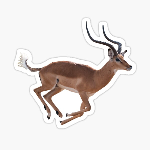 Flüchtende Antilope Sticker