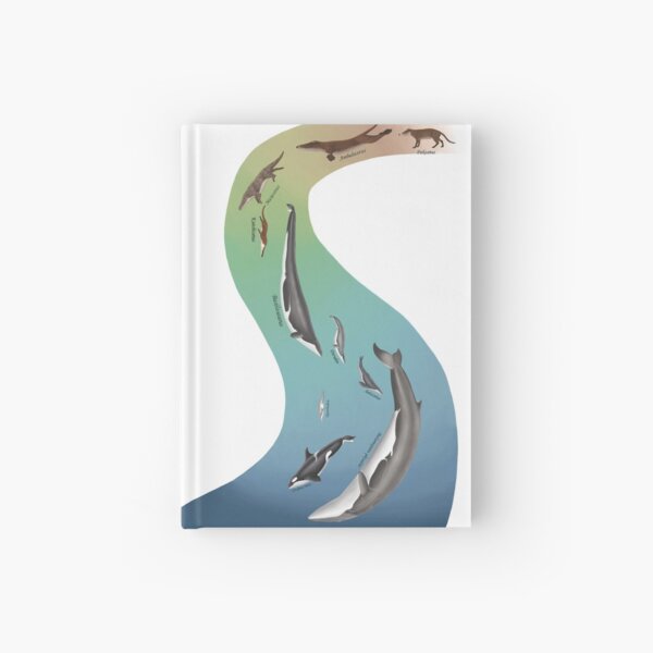 Item preview, Whale evolution - prehistoric and modern whales designed and sold by synapsid.