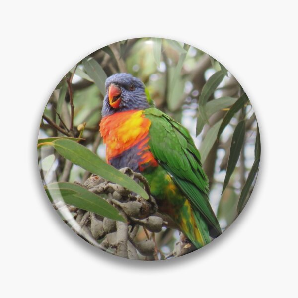Item preview, Rainbow lorikeet designed and sold by greentiger1.