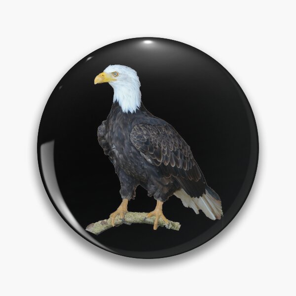 Item preview, Eagle Sticker / Eagle hunting / Falcon / Birds life Sticker designed and sold by lukas754.