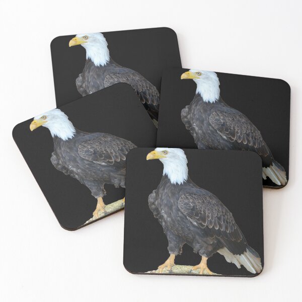 Item preview, Eagle Sticker / Eagle hunting / Falcon / Birds life Sticker designed and sold by lukas754.