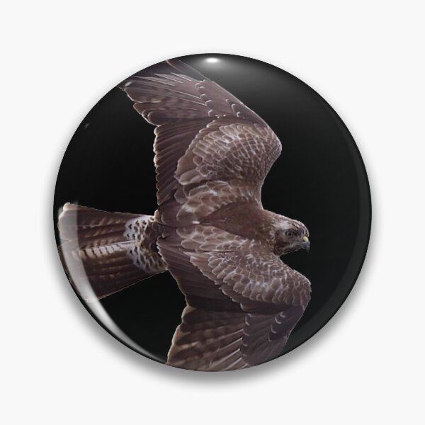 Item preview, Eagle Sticker / Eagle hunting / Falcon / Birds life Sticker designed and sold by lukas754.