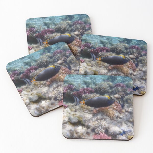 The Territorial Orangespine Unicornfish Coasters (Set of 4)