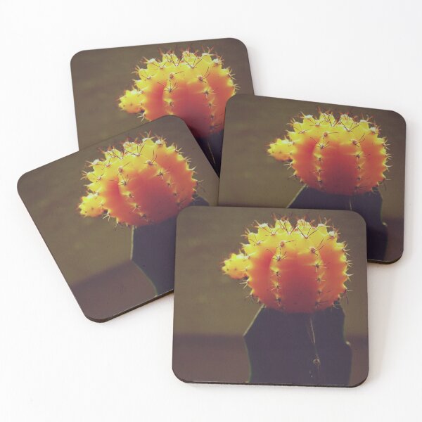 Item preview, Japanese cactus, grafted or yellow cactus flower - Gymnocalycium designed and sold by CarolinaReina.